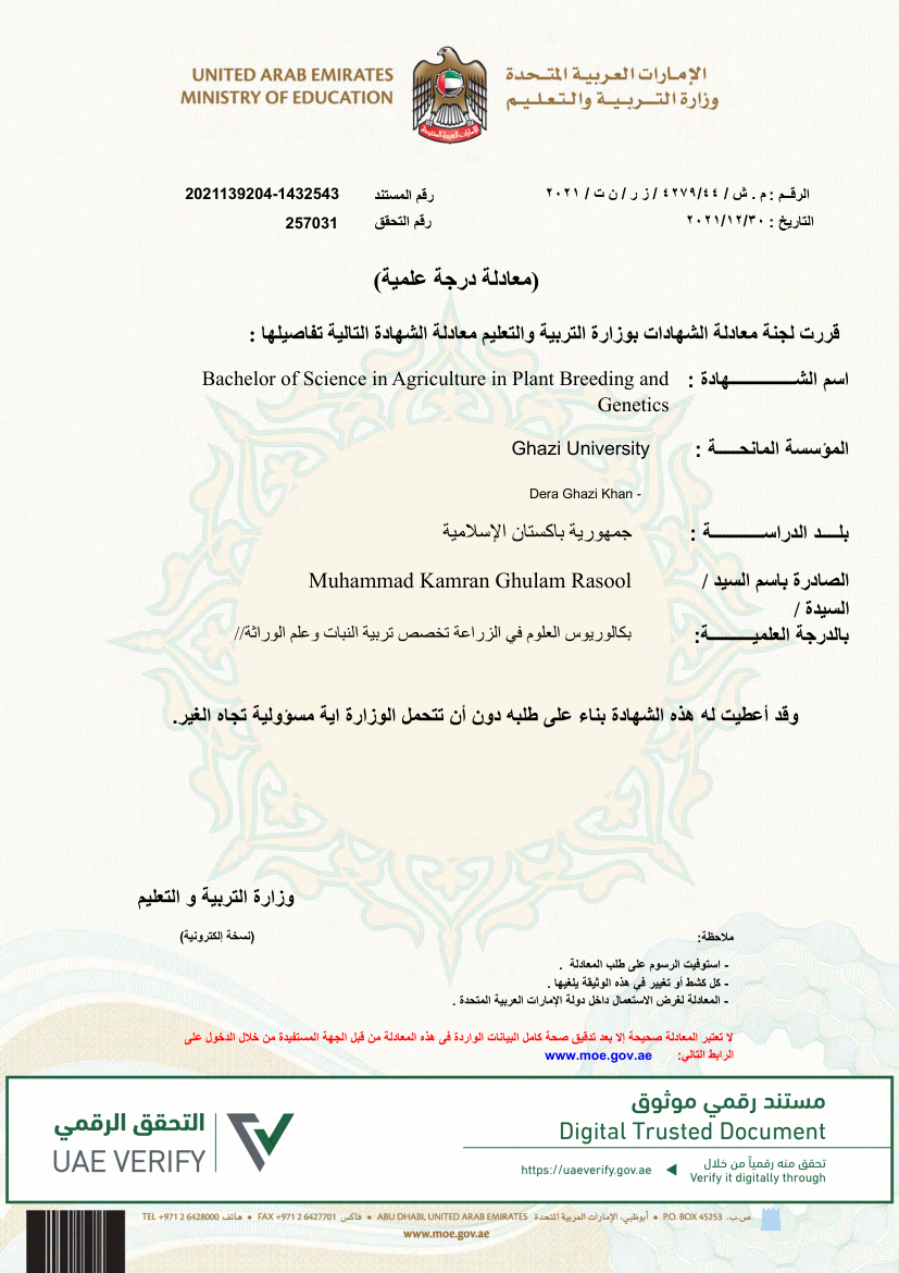 Degree Equivalency Certificate